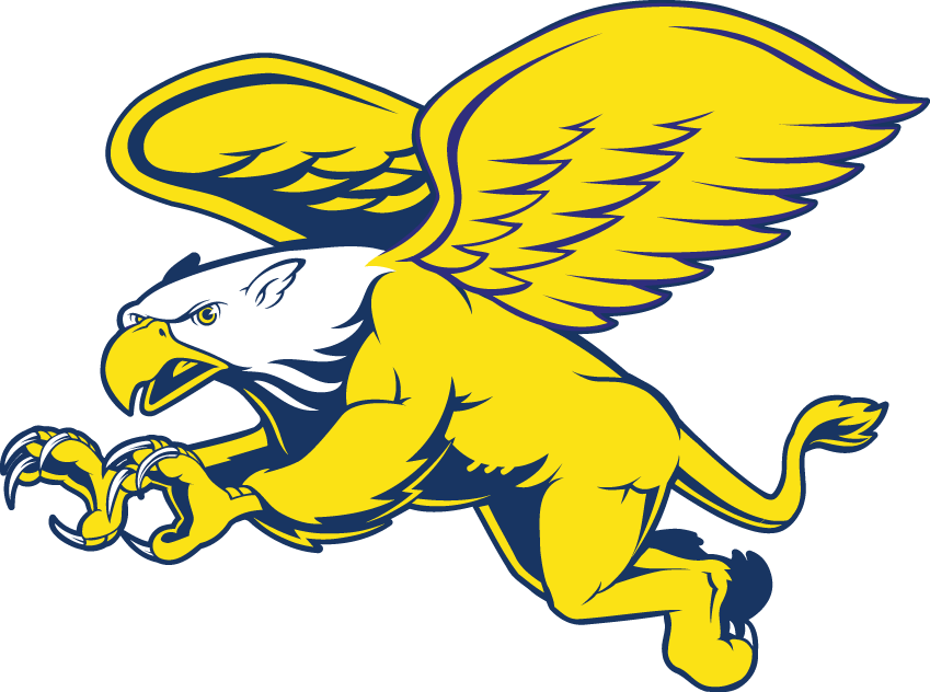 Canisius Golden Griffins 1999-2005 Secondary Logo diy DTF decal sticker